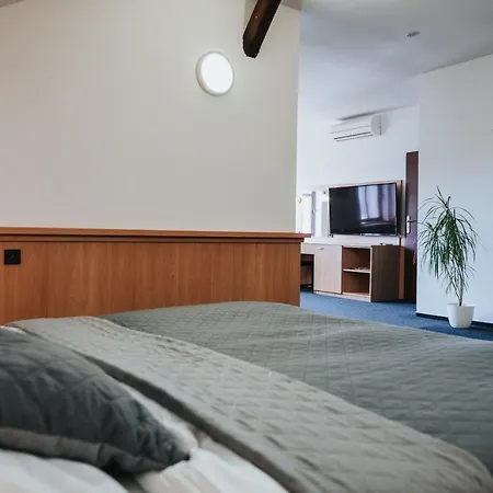 Centrum Hotel Hranice (Olomouc)