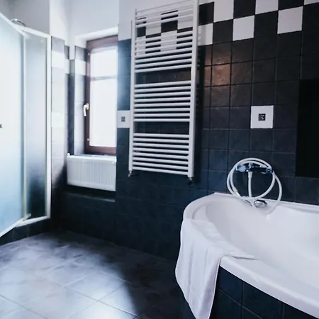 Centrum Hotel Hranice (Olomouc)