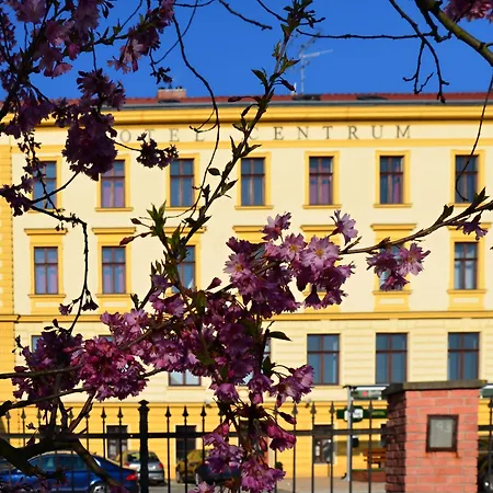 Отель Centrum 3*
