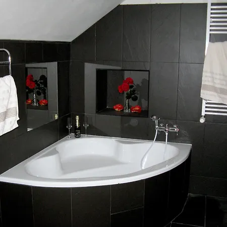 Hotel Centrum 3*