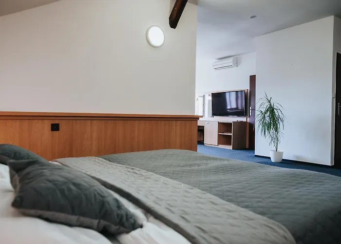 Centrum Hotel Hranice (Olomouc)